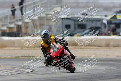 media/Mar-02-2025-Race Pace (Sun) [[8bec80ae00]]/12-Vested (Turn 2) 1111am/